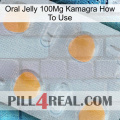 Oral Jelly 100Mg Kamagra How To Use 24